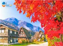 Tour Nhật Bản Mùa Thu 6N5Đ: Làng Cổ Shirakawa-go